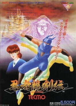 Ninja Gaiden artwork 3