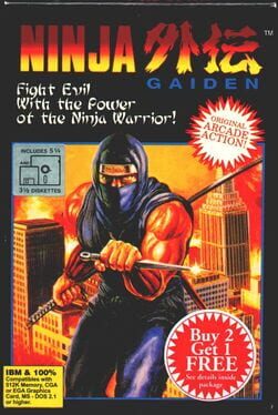 Ninja Gaiden artwork 1