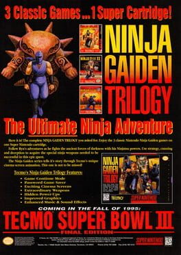 Ninja Gaiden Trilogy artwork 1