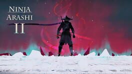 Ninja Arashi 2 artwork 1