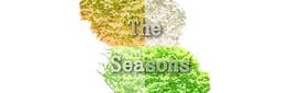 The Seasons artwork 1
