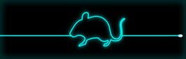 Whiskers & Tail artwork 1