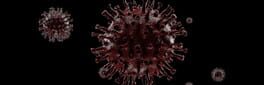 Covid-19: Corona Clicker artwork 1