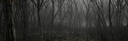 The Weald artwork 1