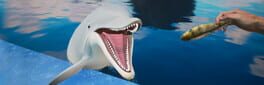 Dolphin Trainer VR artwork 1