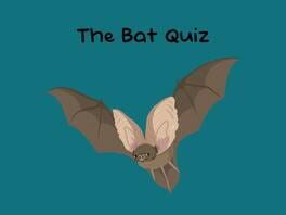 The Bat Quiz artwork 3