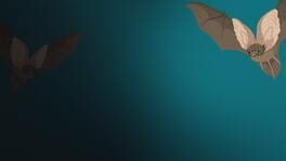 The Bat Quiz artwork 1