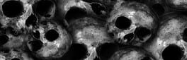 Haunting of the Evil Spirit artwork 1