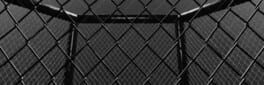 Weekend Warriors MMA artwork 1