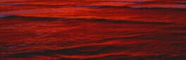 Blood Wizard Odyssey artwork 1