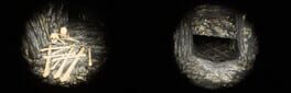 Speluncaphobia artwork 1
