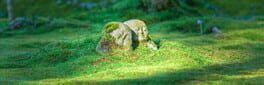 Bepuzzled Jigsaw Puzzle: Japan artwork 1