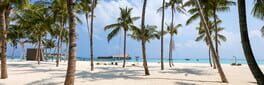 Bepuzzled Jigsaw Puzzle: Paradise artwork 1