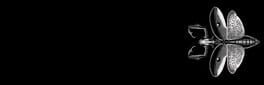 IGDB artwork