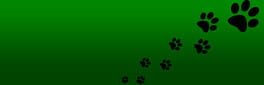 Roxy Raccoon's Mancala Madness artwork 1