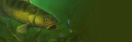 Professional Fishing 2 artwork 1