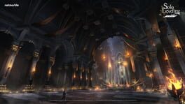 Solo Leveling: Arise artwork 6