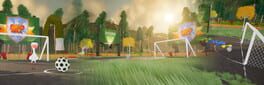 Bird Ball artwork 1
