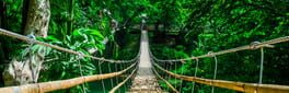 Nature Escapes 4 artwork 1