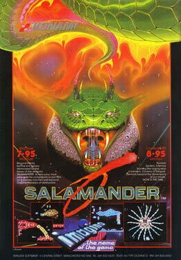 Salamander artwork 3