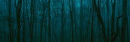 Relight The Dark artwork 1