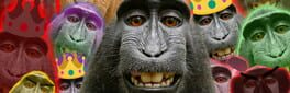 Monkey Game artwork 1