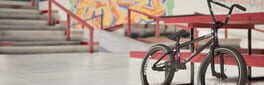 BMX Bastards artwork 1