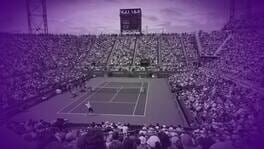 Tennis Pro Tournaments artwork 1