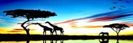 Savanna Story Diamond Edition artwork 1