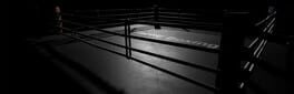 Tactic Boxing artwork 1