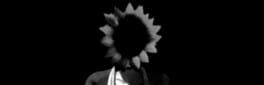 Sunflower Pie artwork 1