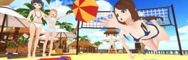 Timestop Volleyball artwork 1