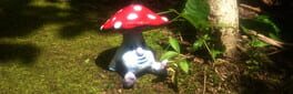 Mushroom Collection artwork 1