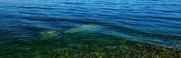 Underwater world artwork 1