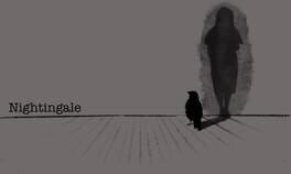 Reflections: Nightingale artwork 1