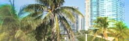Hidden Clues 2: Miami artwork 1