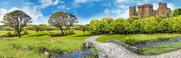 The Mystery of Blackthorn Castle artwork 1