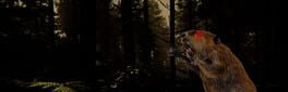 Save from Bobr Curve artwork 1