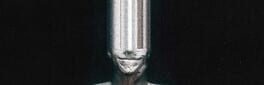 Flathead artwork 1