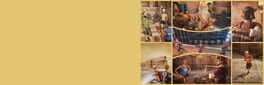 Fortress Challenge: Fort Boyard artwork 1