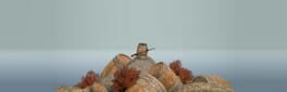 Climbing In Barrel With Double-Barrel artwork 1