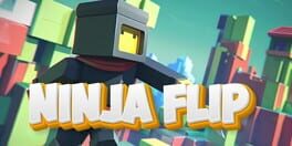 Ninja Flip artwork 1