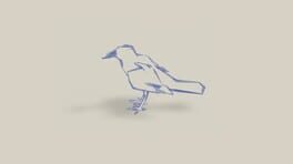 Rocks and Ravens artwork 1