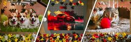 Jigs4w3D: Puzzle Challenge artwork 1