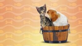 I Love Finding Cats & Pups - Collector's Edition artwork 1