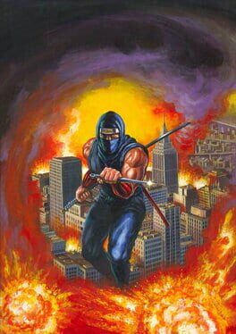 Ninja Gaiden artwork 3