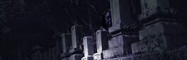 Shisya 2: Ghost Video artwork 1