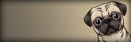 Pug'llector artwork 1