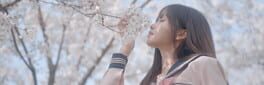 Yixin artwork 1