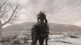 Shadow the Ronin: The Revenge to the Samurai artwork 2